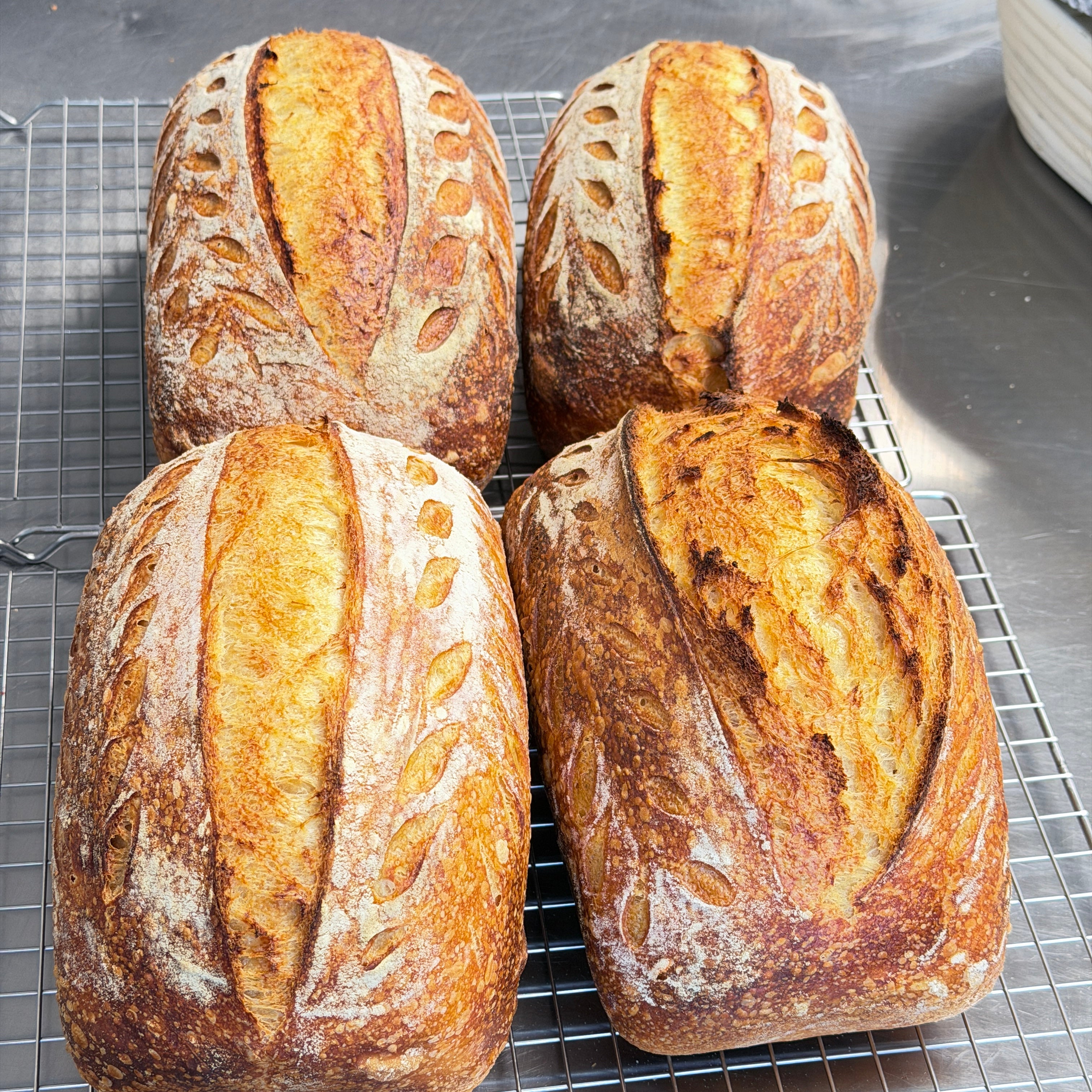 Sourdough Bread